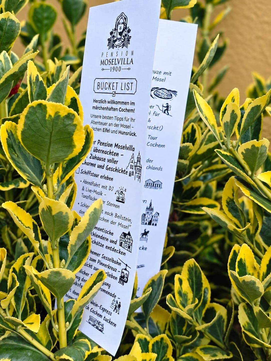 Unsere gedruckte Bucketliste als Lesezeichen in der Hecke der Pension Moselvilla 1900