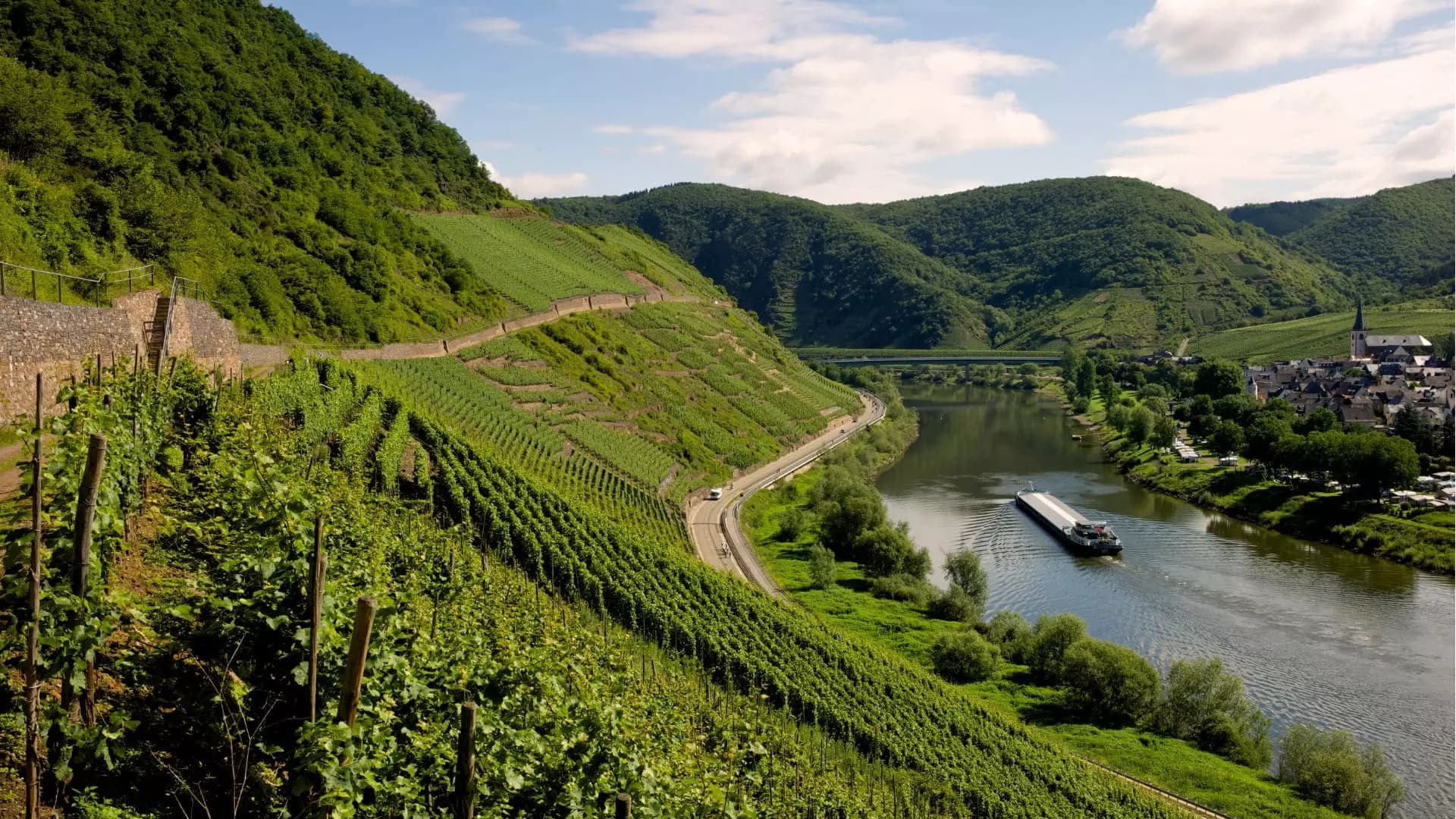 Blick von oben auf terrassierte Weinberge, die Mosel und ein Frachtschiff bei Cochem