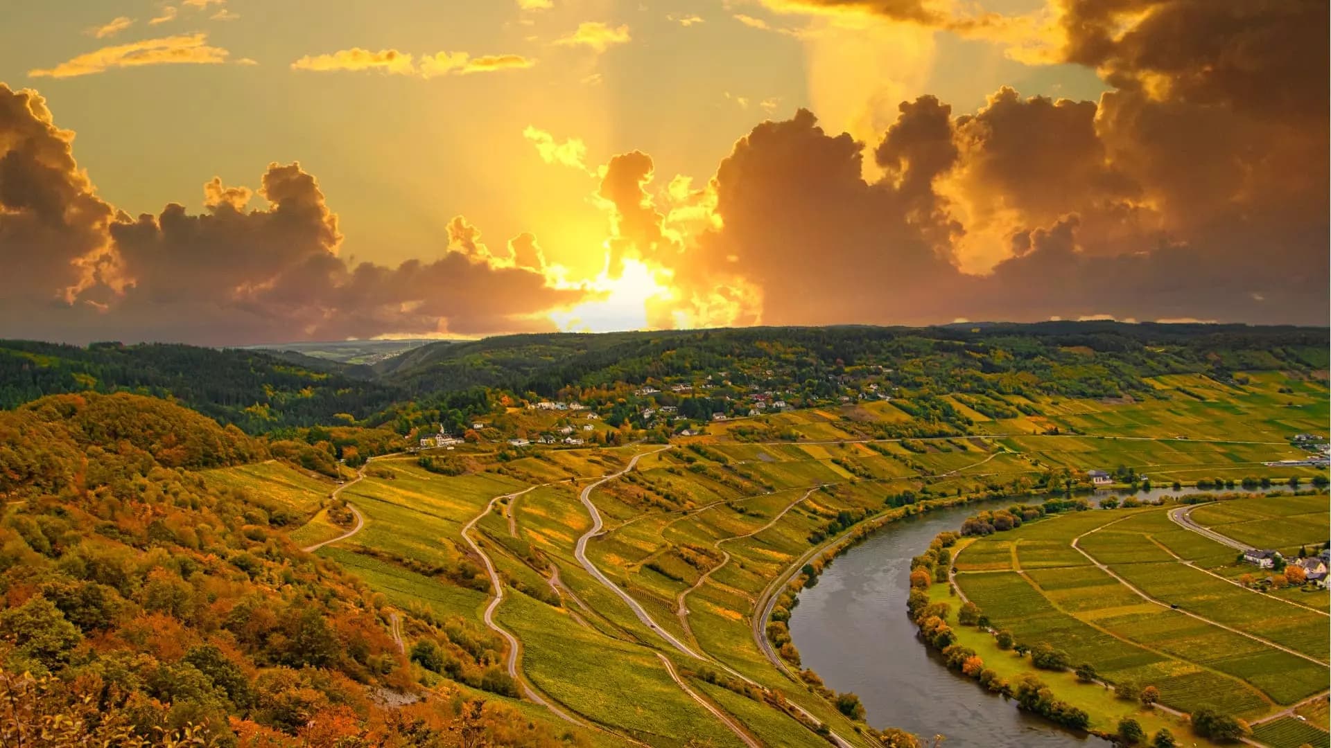 Abendstimmung über den Weinbergterrassen und der Moselschleife bei Cochem