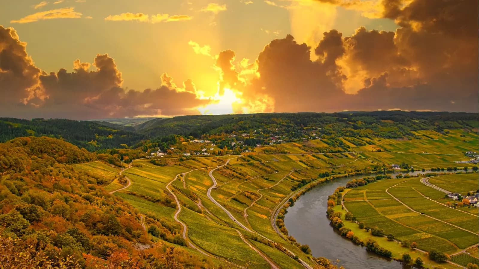 Goldener Sonnenuntergang über den Weinbergen und der Flussschleife der Mosel